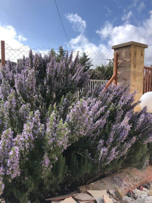 Canpujol Sicily Villa Racalmuto Eksteriør billede